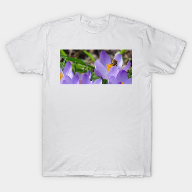 Crocus Lover T-Shirt by MelTGazing